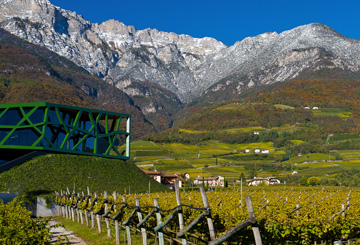 Kellerei Tramin